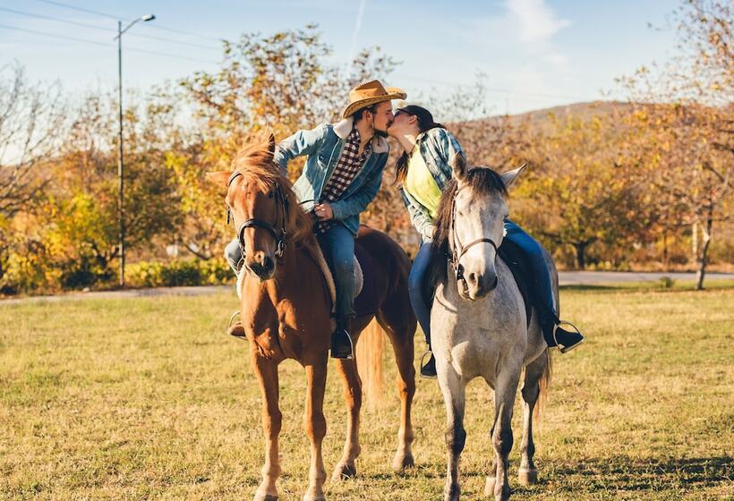 Пансион Casa Dives Transylvania