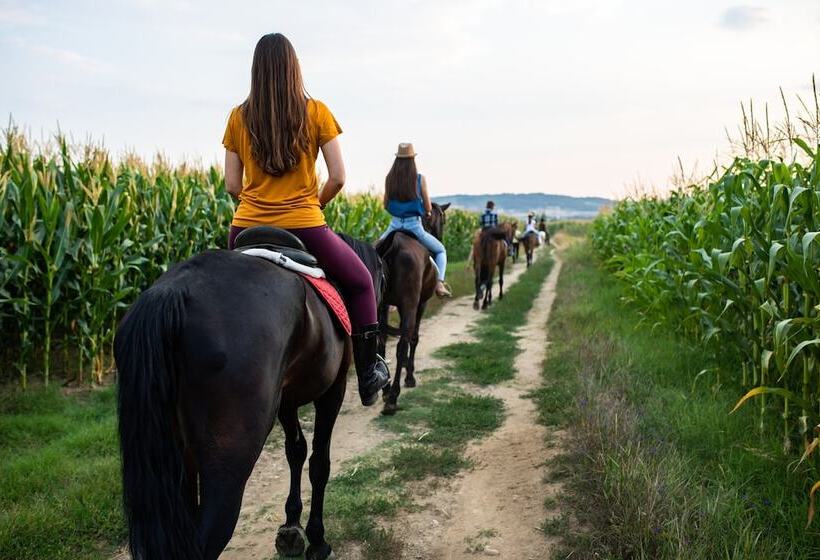 Пансион Casa Dives Transylvania
