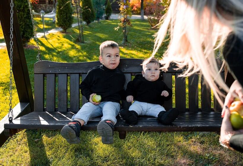 Пансион Casa Dives Transylvania