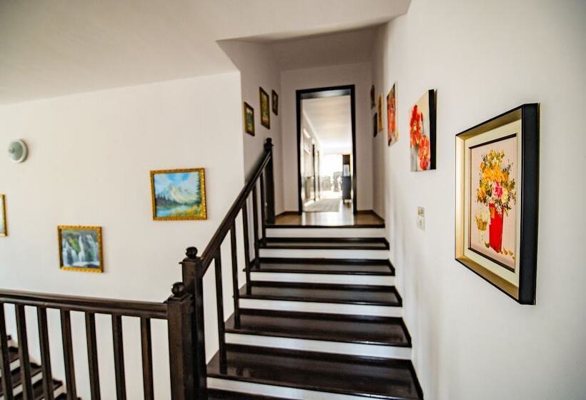 Пансион Casa Dives Transylvania