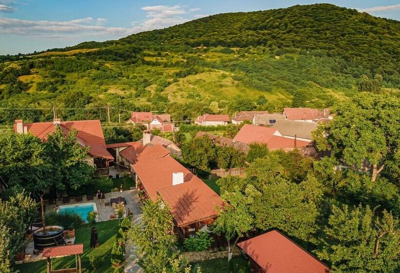 Пансион Casa Dives Transylvania