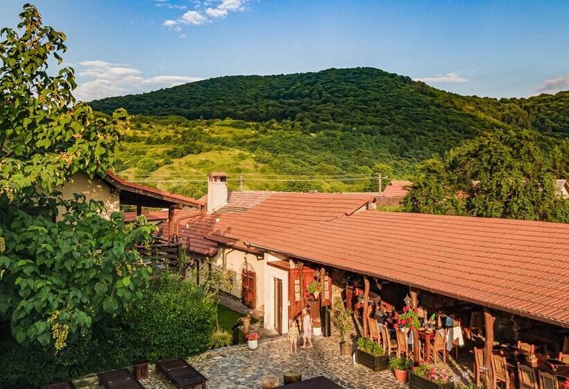 Пансион Casa Dives Transylvania
