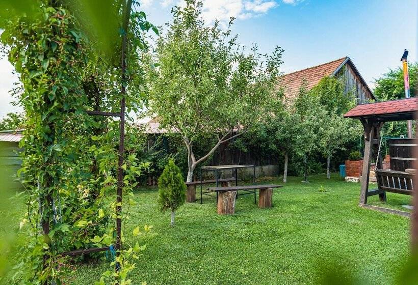 Пансион Casa Dives Transylvania