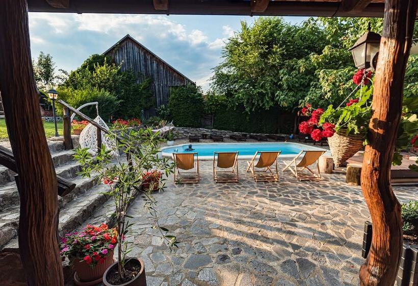 Пансион Casa Dives Transylvania