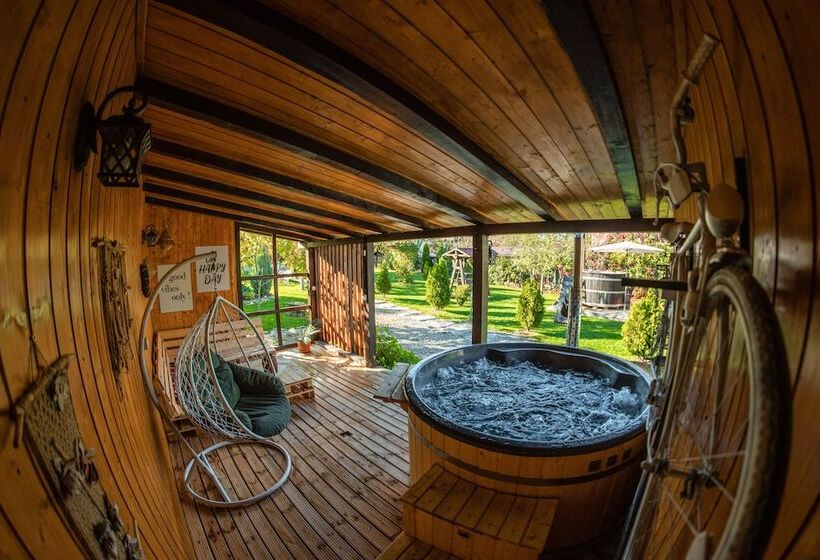 Пансион Casa Dives Transylvania