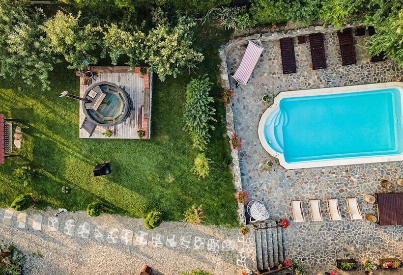 Пансион Casa Dives Transylvania