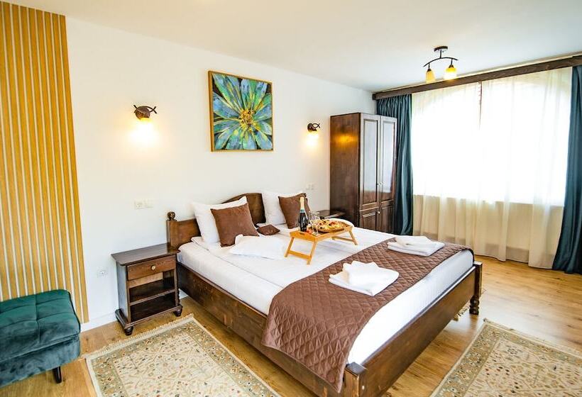 Пансион Casa Dives Transylvania