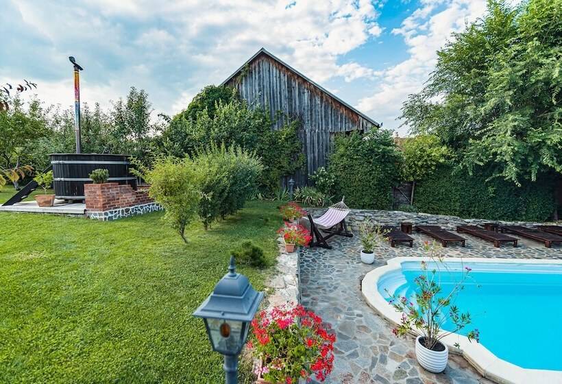 Пансион Casa Dives Transylvania