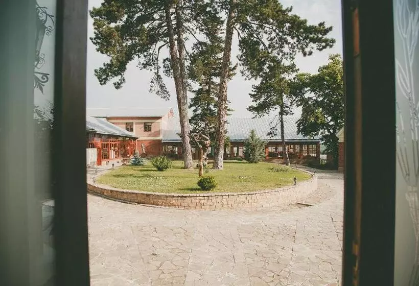 هاستل Conac Polizu