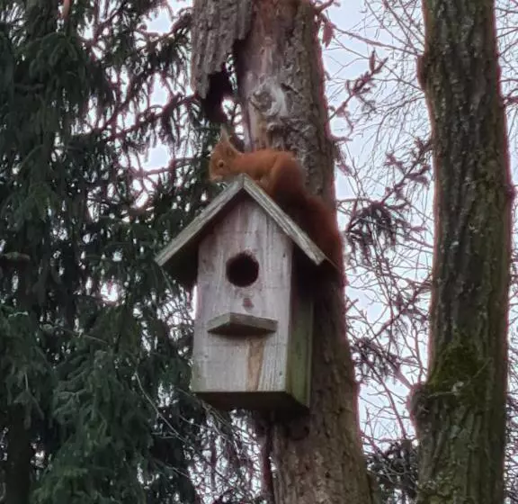 B&b Hof Van Eerde