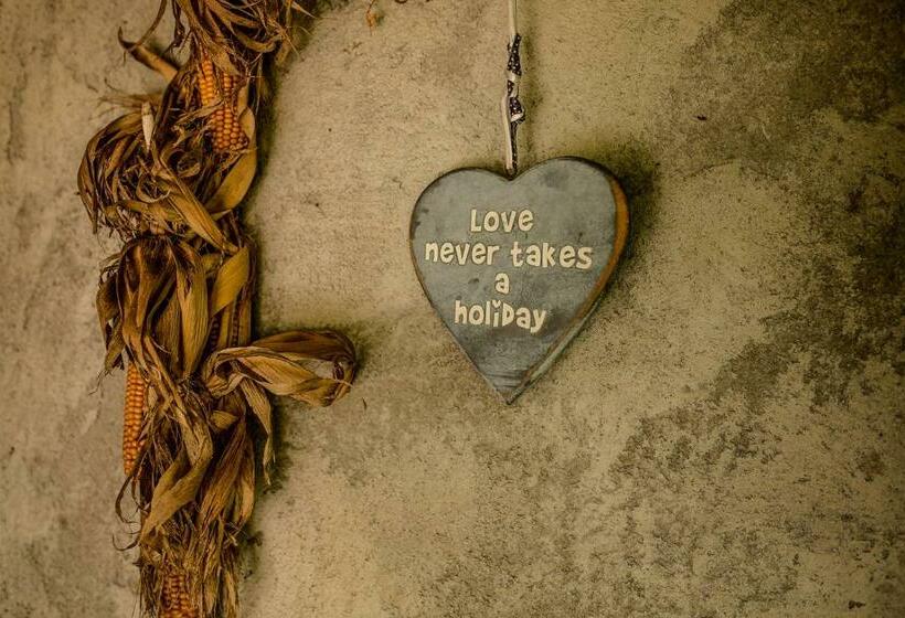 ベッドアンドブレックファースト Gasthoeve De Drie Eiken