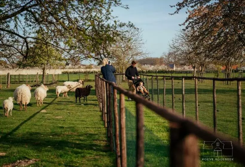 ベッドアンドブレックファースト Hoeve Roosbeek