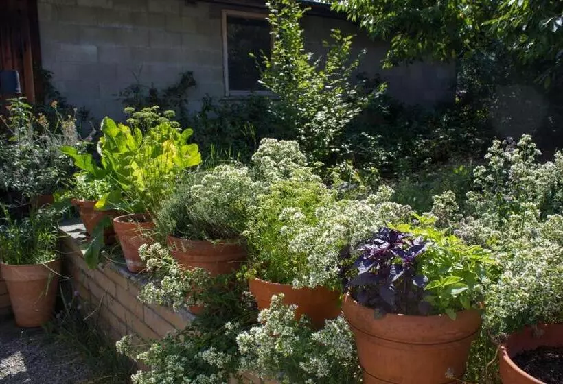 Genelle House B&b Guest House