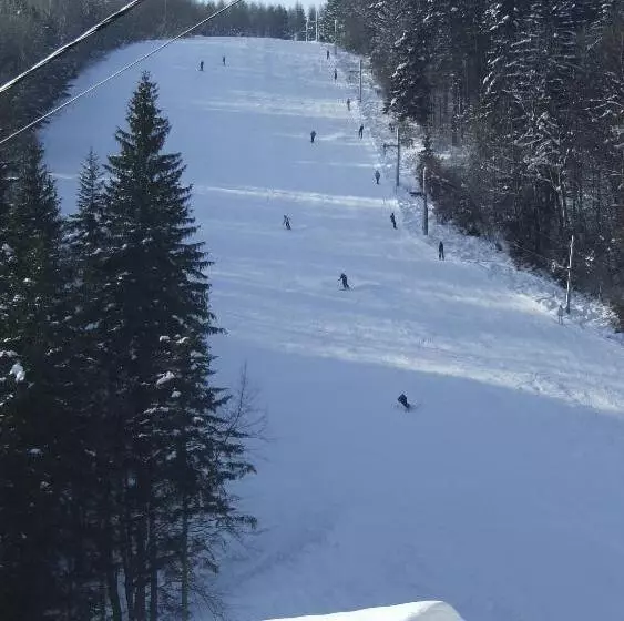 Horský Hotel Podjavorník