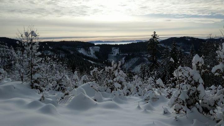 Horský Hotel Podjavorník