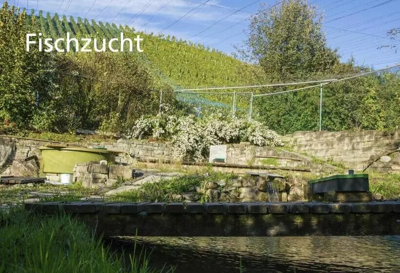 ホテル Kartause Ittingen