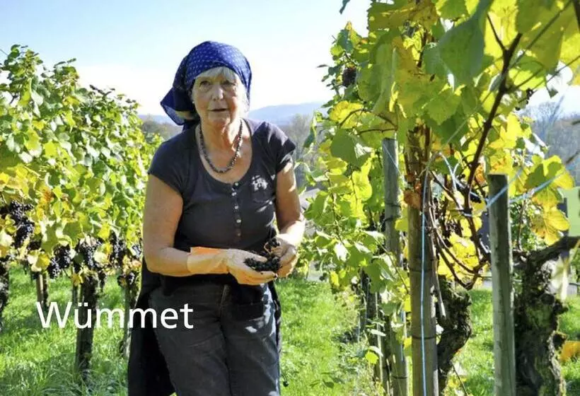 ホテル Kartause Ittingen