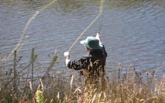 ペンション Complex Domneasca