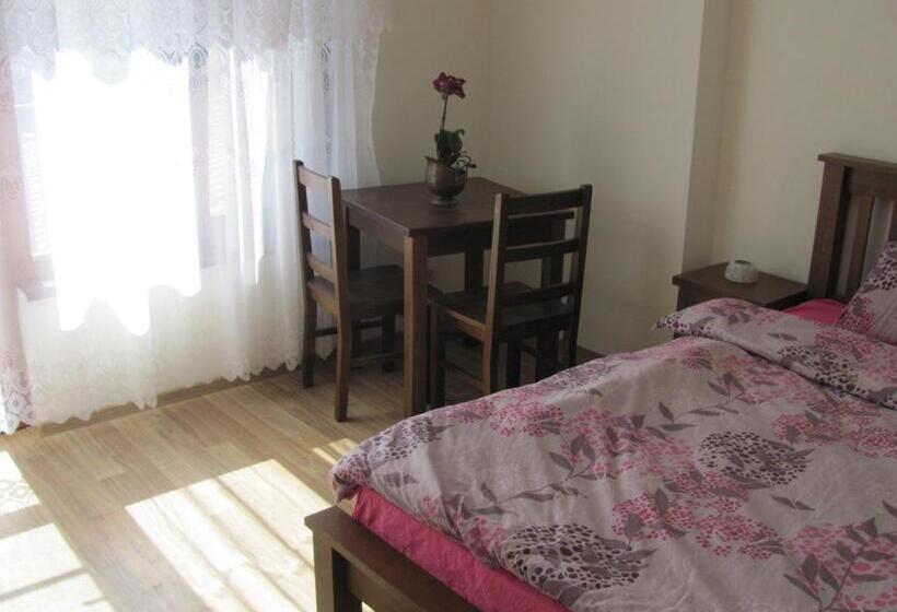 Пансион Guest House Villa Elma