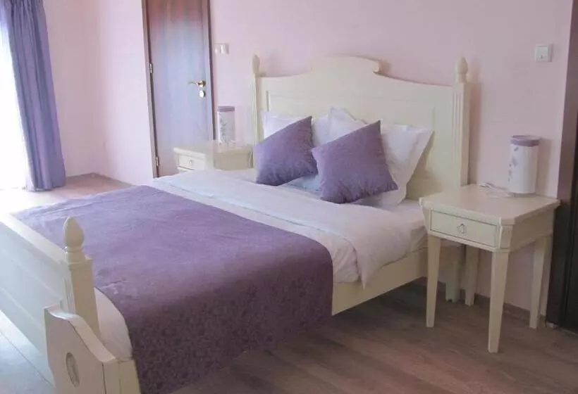 ペンション Guest House Villa Elma