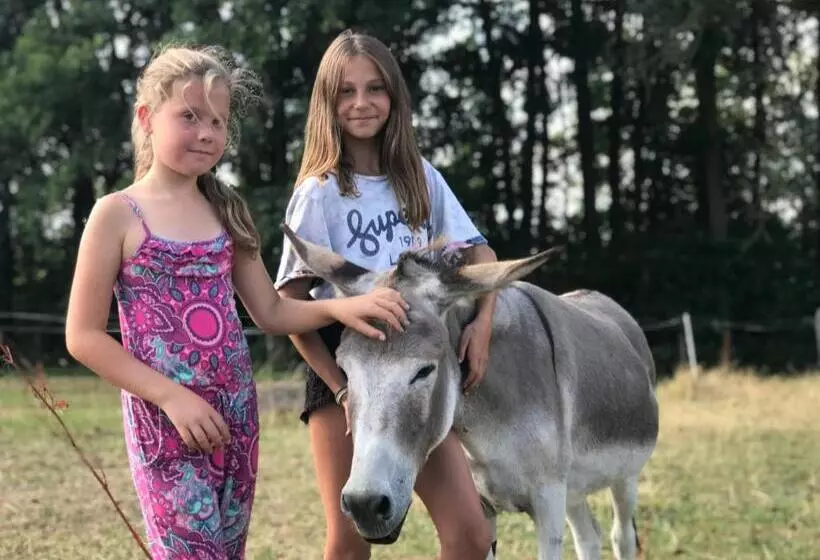 ペンション Land Gut Berlinchen