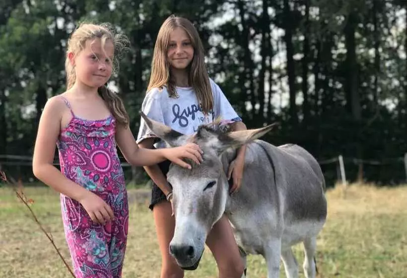 ペンション Land Gut Berlinchen