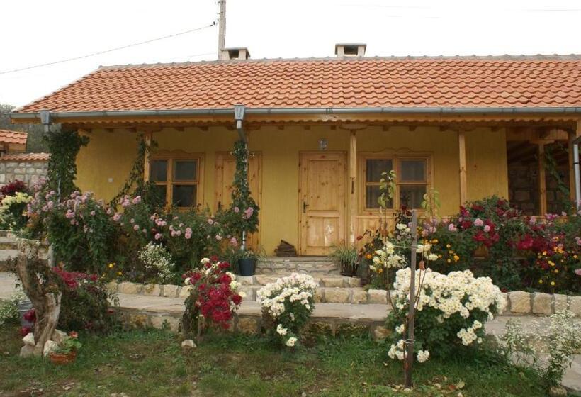 بنسيون Pelican Birding Guest House