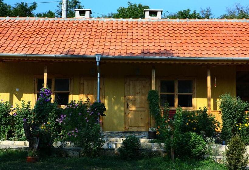 بنسيون Pelican Birding Guest House