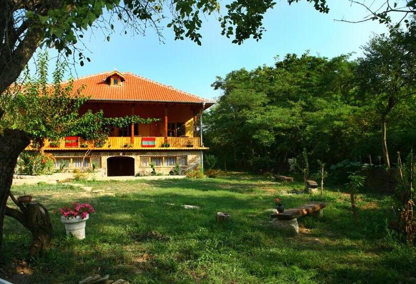 بنسيون Pelican Birding Guest House