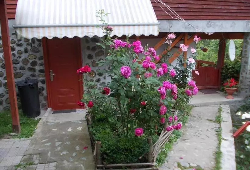 Pensiunea Poiana Soarelui