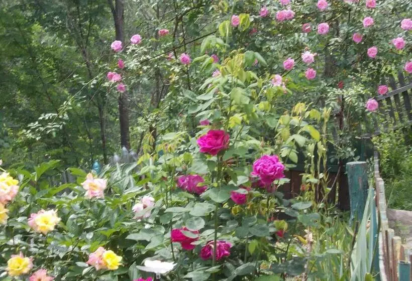 Pensiunea Poiana Soarelui