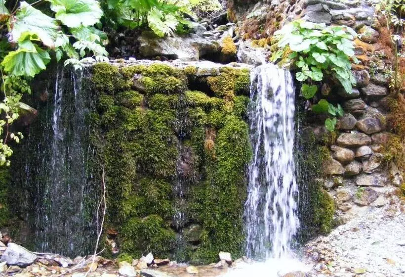 Pensiunea Poiana Soarelui