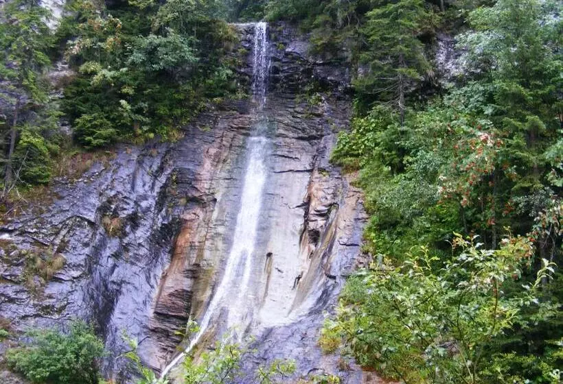 Pensiunea Poiana Soarelui