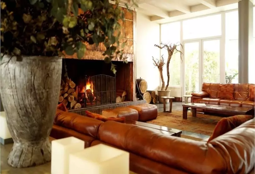 هتل Boutique Raíces