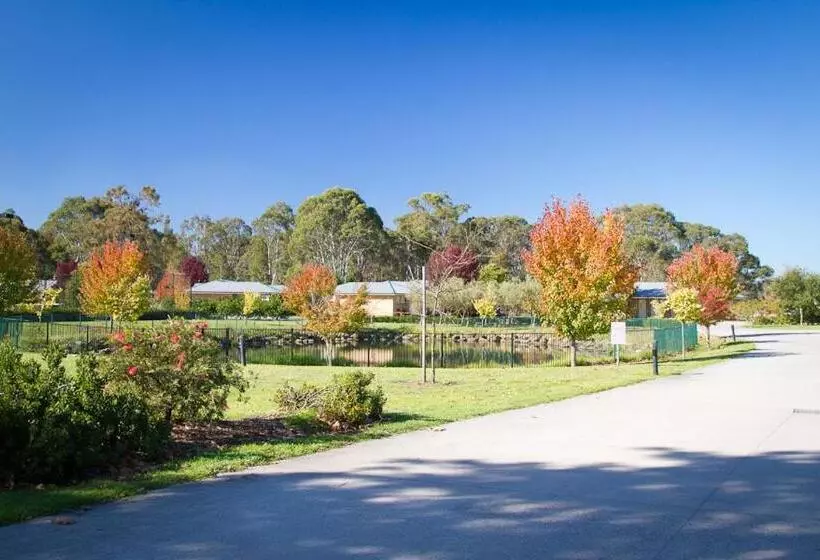 酒店 Potters Apartments