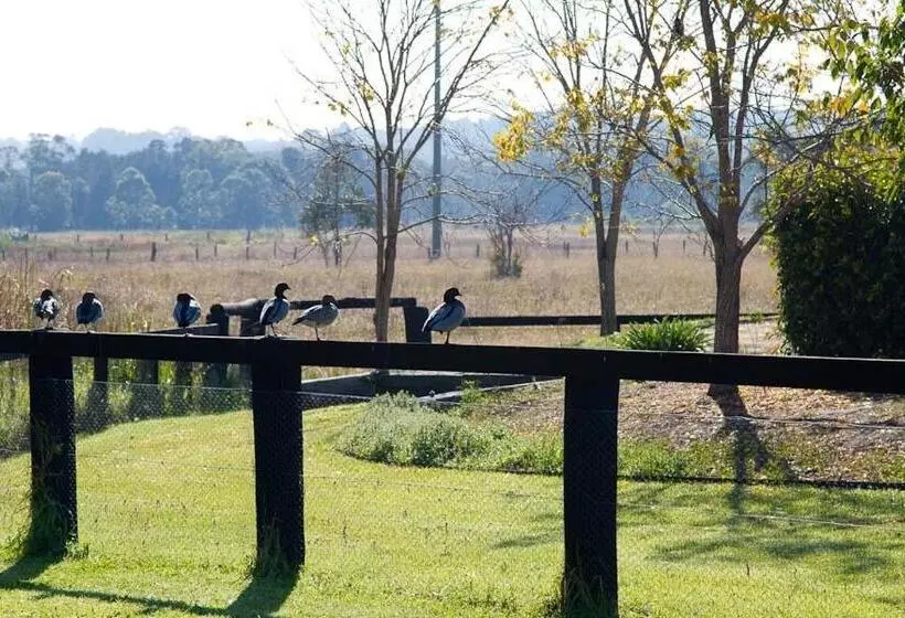 酒店 Potters Apartments