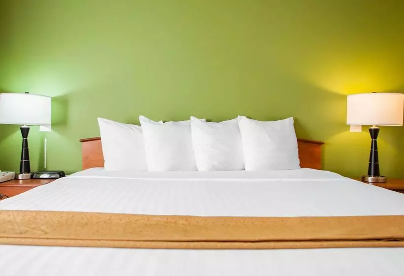 酒店 Quality Inn Bolingbrook I 55