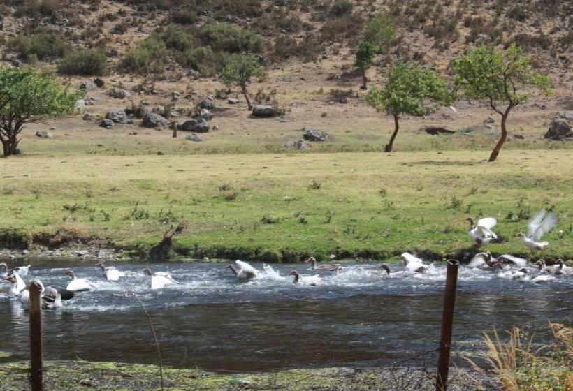 Albergue Getap In Bjni