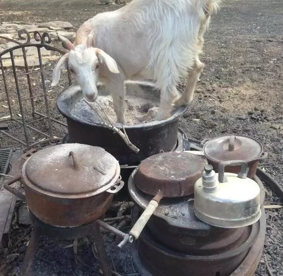 Aamiaismajoitus (B&B) Corella Creek Country Farm Stay