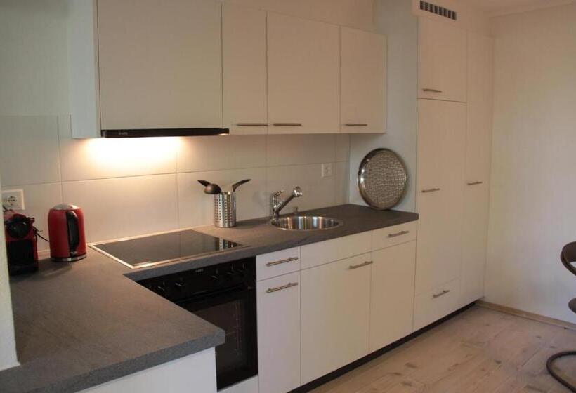 민박 Swiss Borzoi House