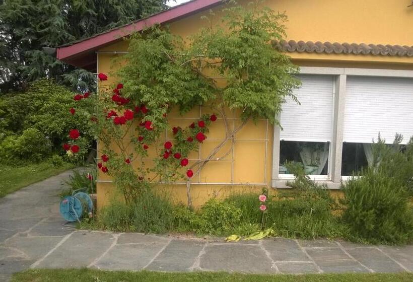 민박 Swiss Borzoi House