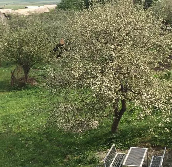 Hotelli Guesthouse Chambarak