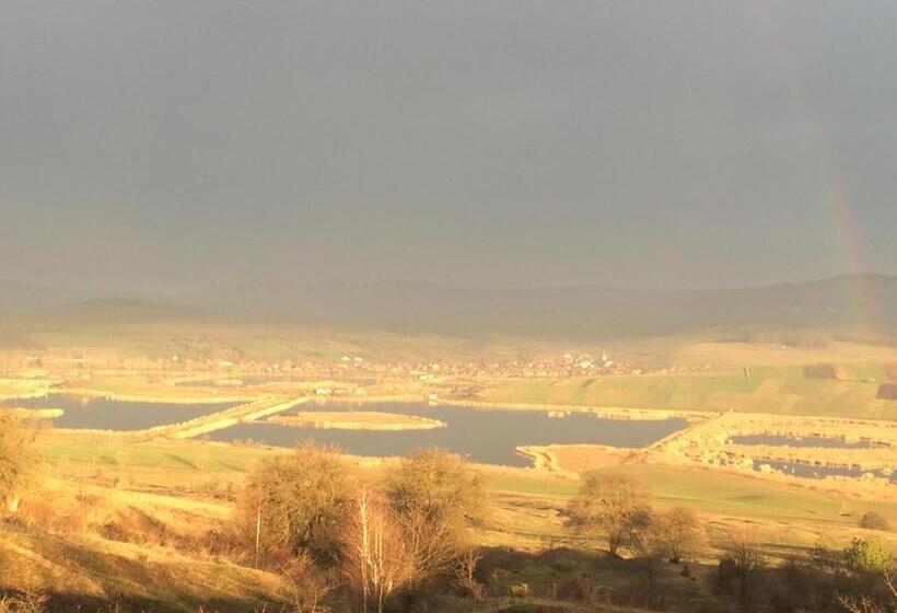 酒店 Pensiune Agroturistica Hanna