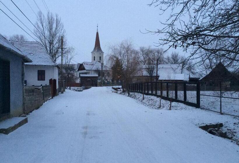 酒店 Pensiune Agroturistica Hanna