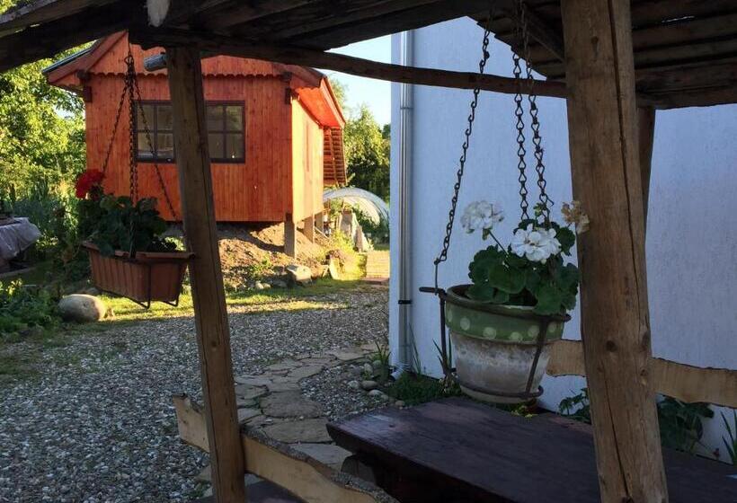 酒店 Pensiune Agroturistica Hanna