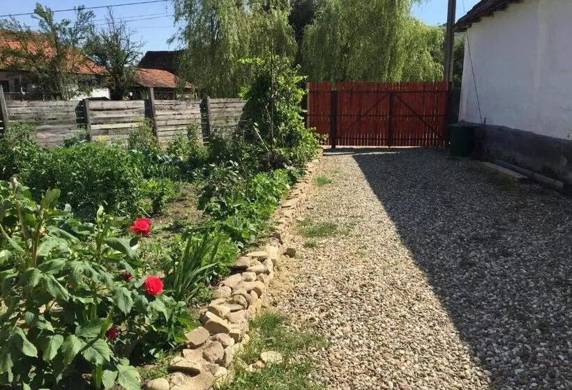 هتل Pensiune Agroturistica Hanna