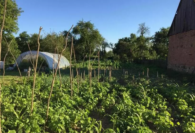 هتل Pensiune Agroturistica Hanna