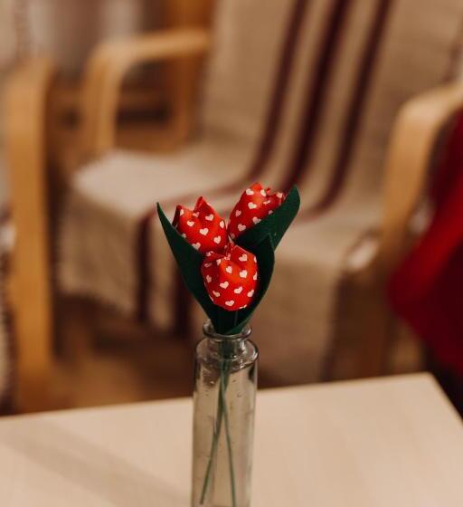 酒店 Pensiune Agroturistica Hanna