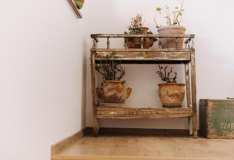 酒店 Pensiune Agroturistica Hanna