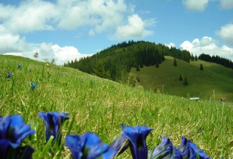 Пансион Casa Lia